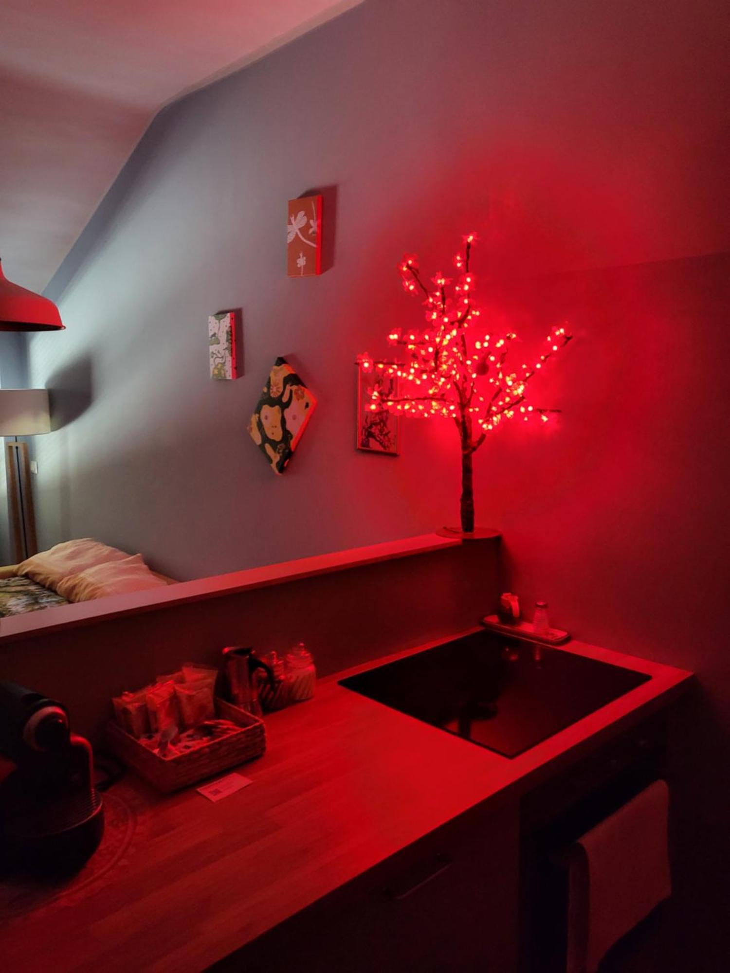 Casa Desiree Apartment Turin